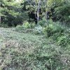 2020-Black Acre